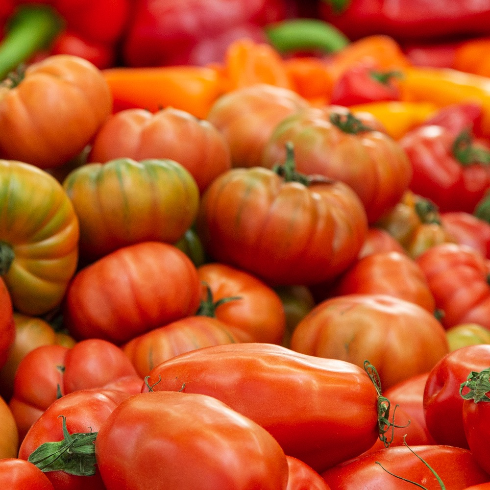 Hofverkauf-Tomaten-quadrat