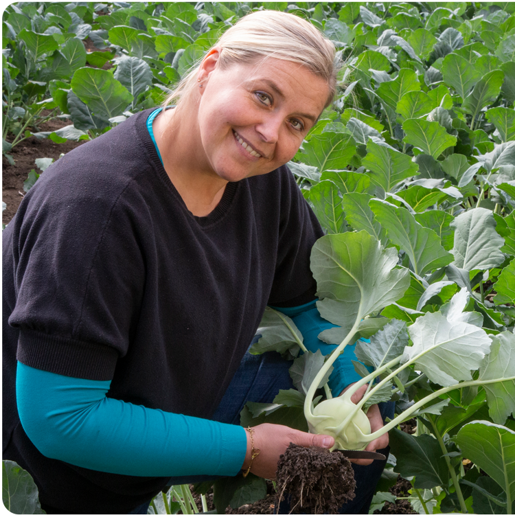 Kohlrabi jassi mit kohlrabi